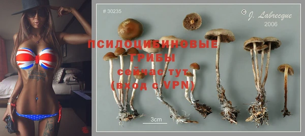 скорость Лиски