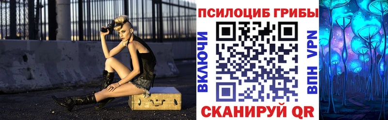Купить закладки Андреаполь Галлюциногенные грибы мухоморы